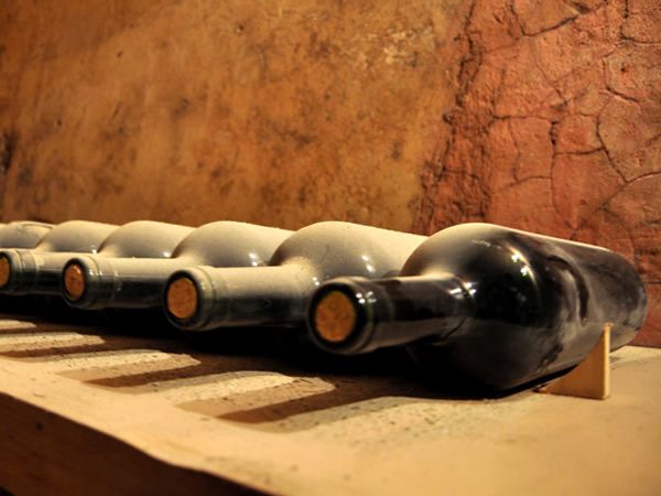 Bodegas de Vino